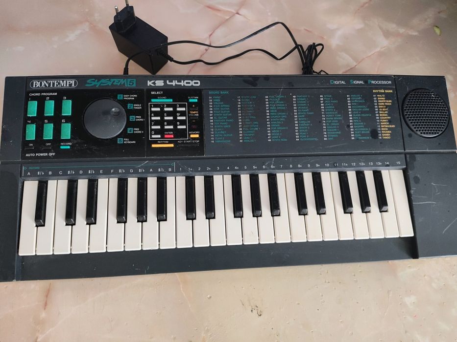 Orga electronica