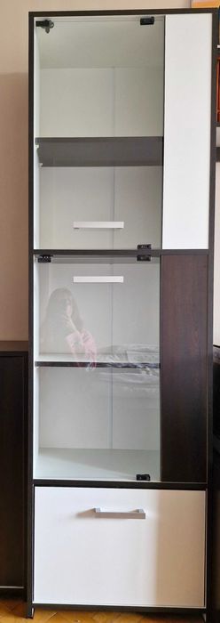 Шкаф - витрина за дневна