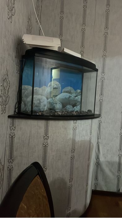 Акуариум сатылады