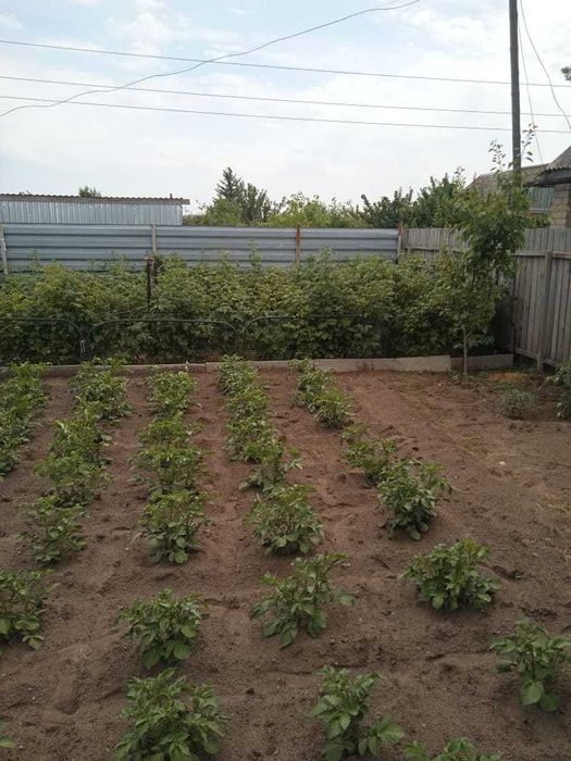 Продам дачу в СО "Геолог"