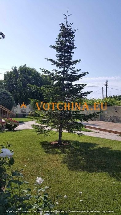 Продава се Къща в с. Езерец, Област Добрич - 150 кв.м за 1374 €/кв.м - Снимка #8