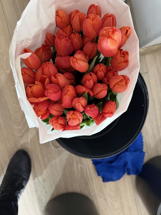 Тюльпан свежий