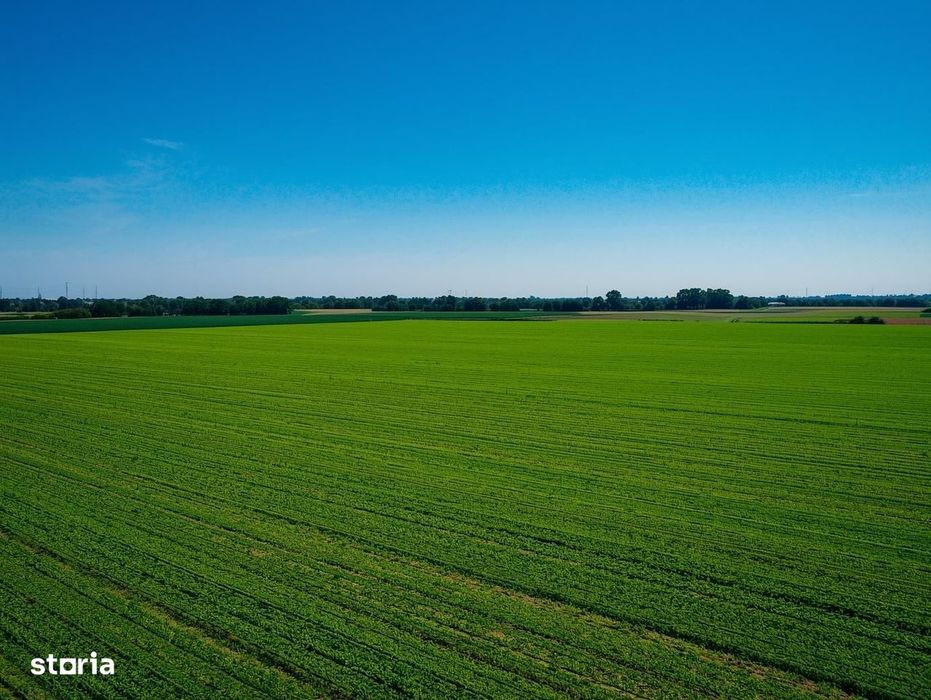 Vanzare Teren Extrav. Arabil, Pășune Chesint, Zabrani 1ha - 48.86ha