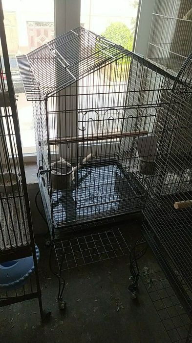 Qafas Kletkalar kotta qushlar uchun