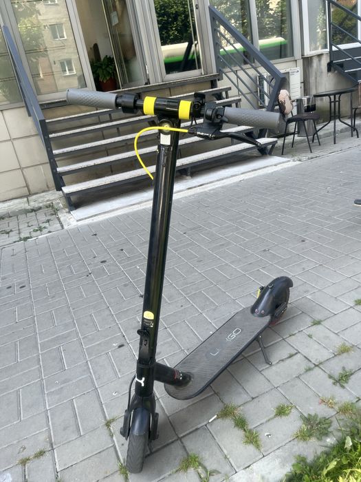 Trotineta lergo