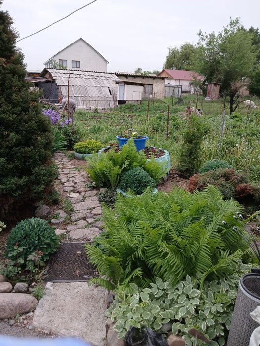 продам дом на 10 сотках