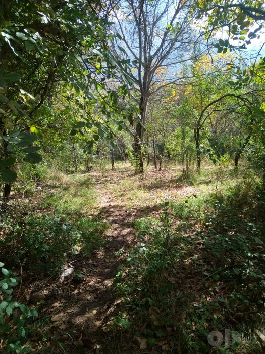 Uchastka sotiladi