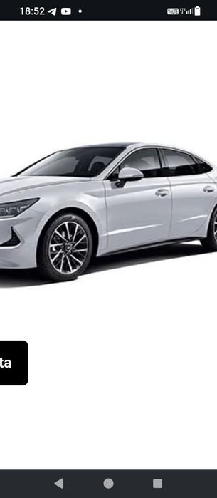 Авто дверь саната
