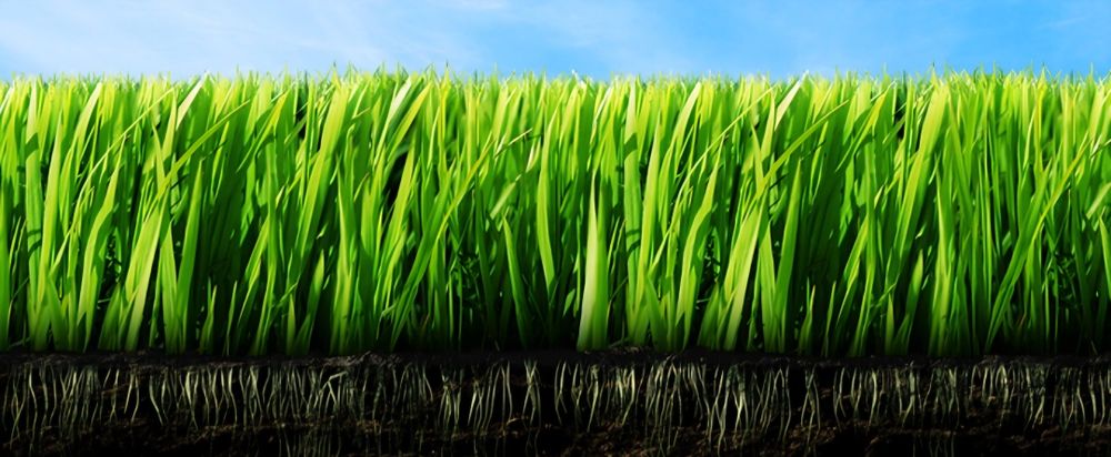 Продается земля под застройку в мирзо улугбекском районе