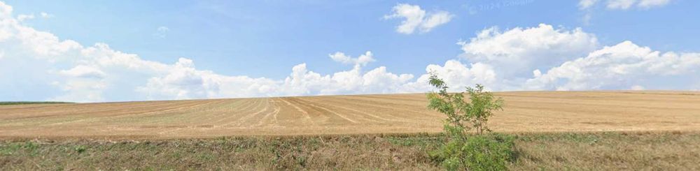 Teren agricol neamt carligi