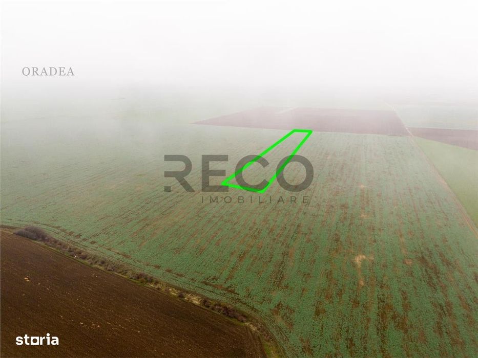 RECO Teren extravilan 5800 mp Livada de Bihor