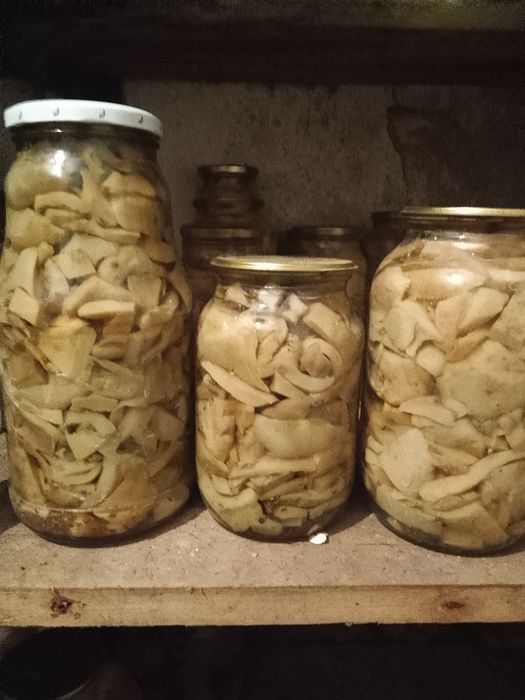 Продам Грибы грузди