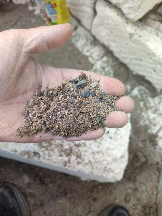 Баллас бесплатный