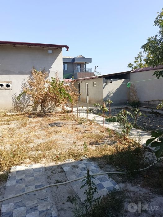 Dacha sotiladi  plem savhozdan utganda hama sharoeiti bor