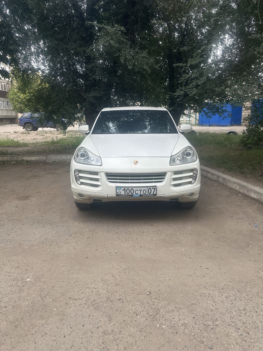 Продам  живого порша