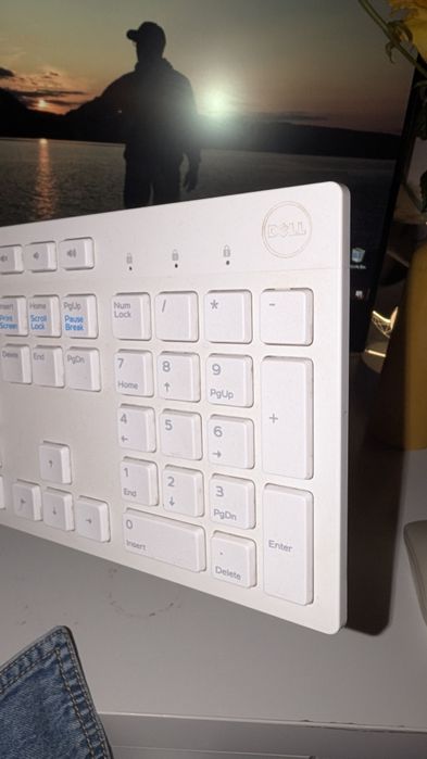 Dell Inspiron 24