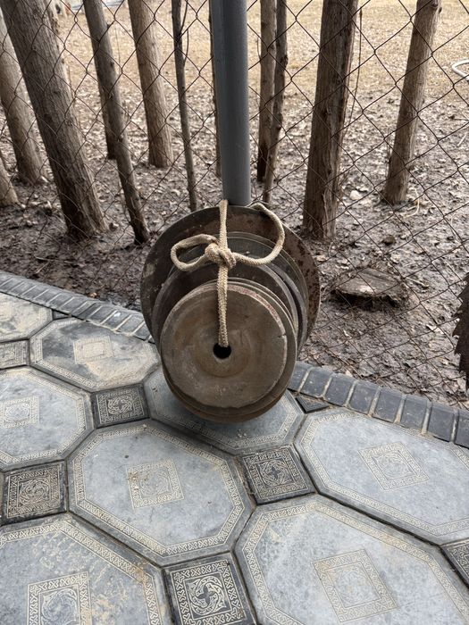 Daraxt kesadigan stanok arrasi sotiladi har xil razmerda bor