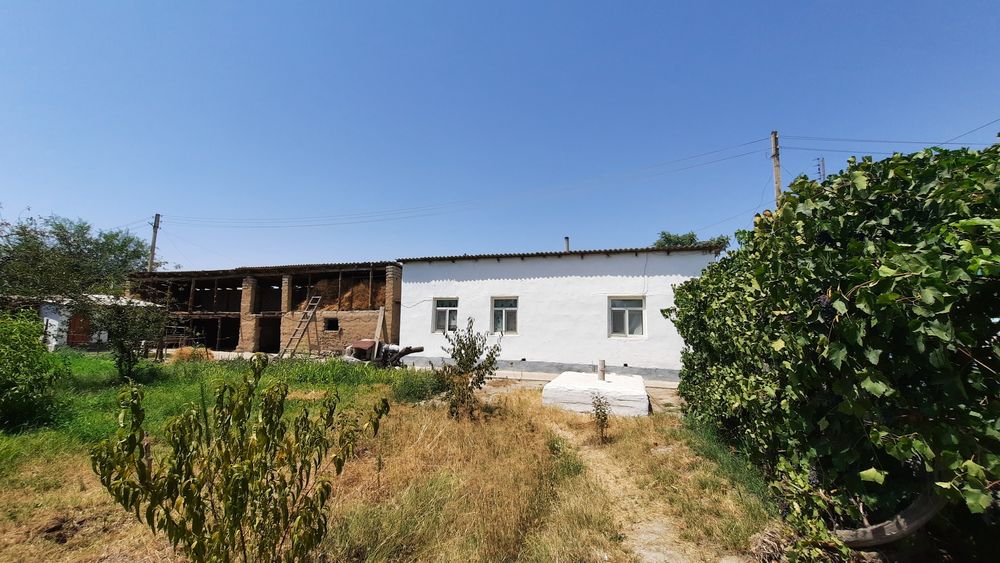 Шардара қаласы, төменгі тоғай да уй сатылады