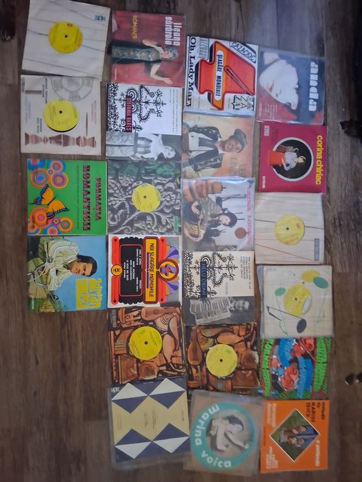 Lot 22 discuri vinil comune