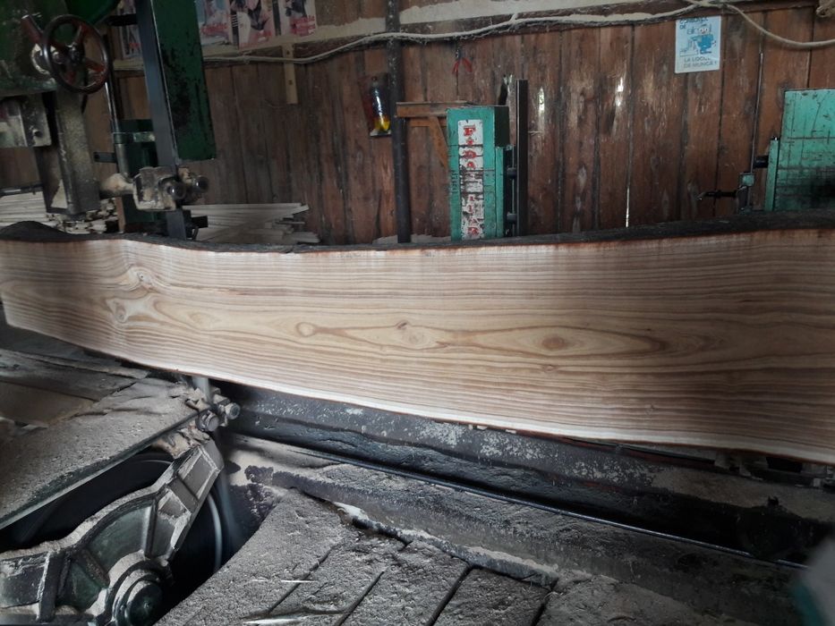 Cherestea mobilă paulownia