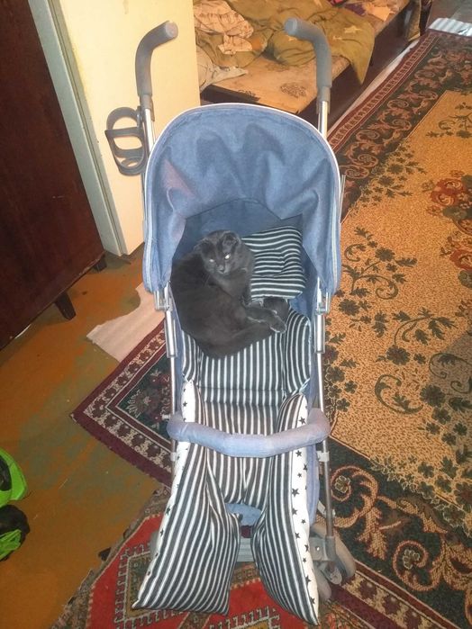 Срочно продаётся детская коляска с бонусом!