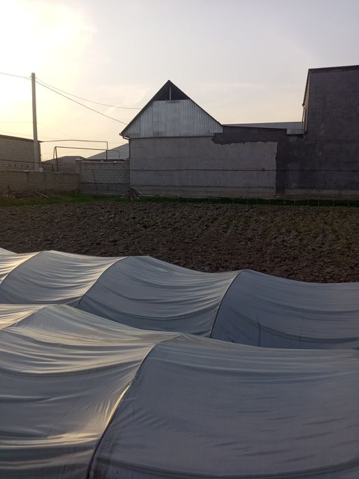 Тошкет шахрида  1 сотихи йер 11минг$ доллордан курук  йер сотилади