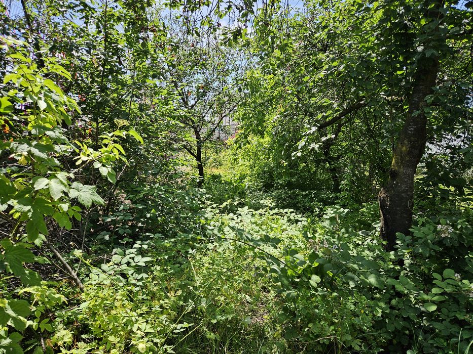 Casa si teren strada Mihai Eminescu