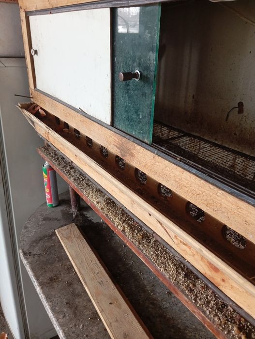 Прода брудер для циплят