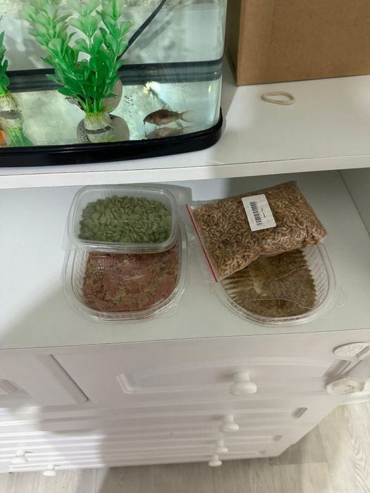 Продам аквариум с рыбками