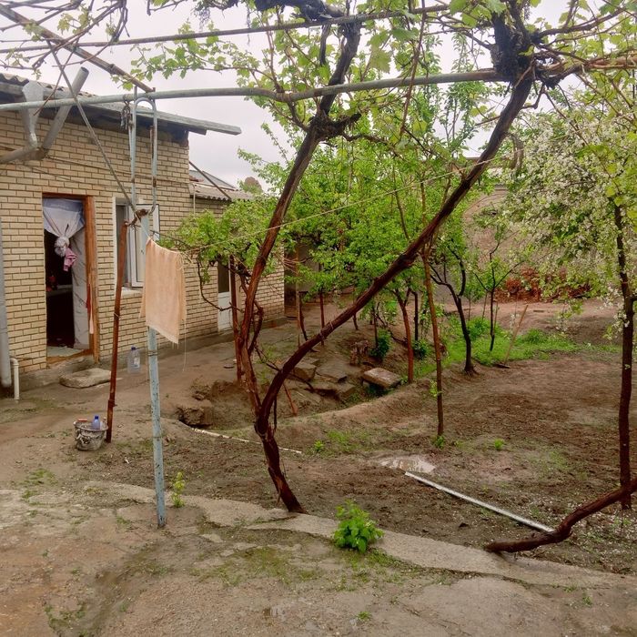 Ховли сотилади Мохи хосса