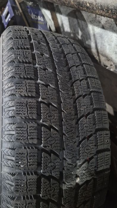 Шины зимние Toyo