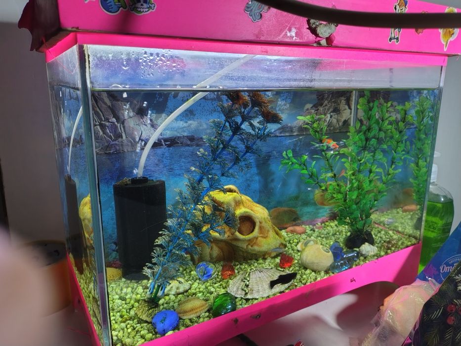 Продам аквариум срочно