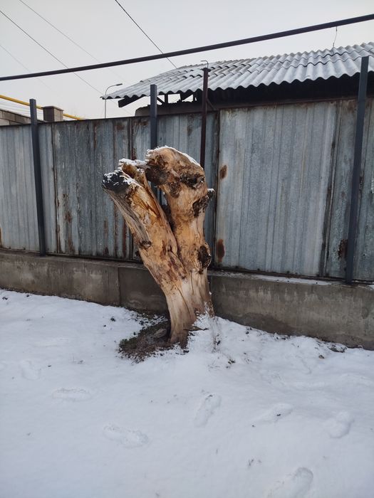 Отдам даром мкр.Думан