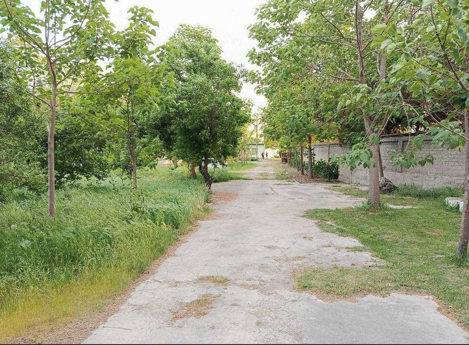 Продаётся зона отдыха (дача) на берегу Ташморя (первая линия).