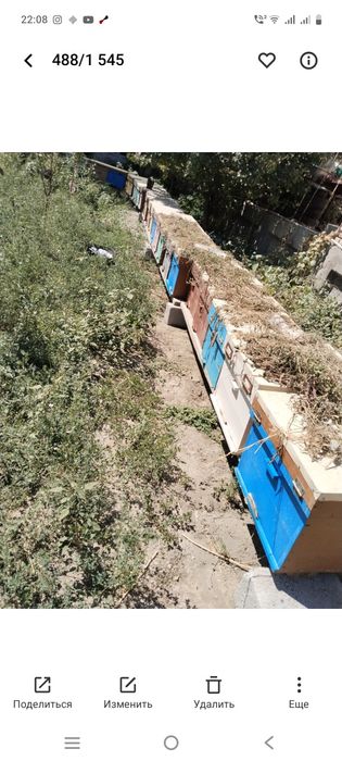 Асалари кутиларисотилади. Продаются Пчелиные яшики Пчелиные яшики
