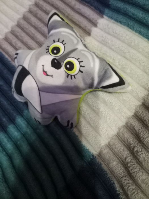 Енот из мема успогойся