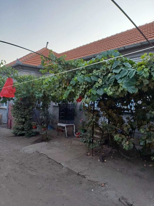 Vand casa batraneasca cu teren, Poiana-Mare, jud. Dolj
