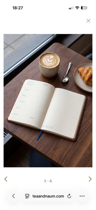 Планер от Теа Минкова