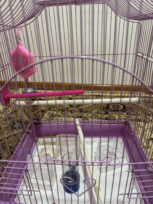 Продам клетку для попугая