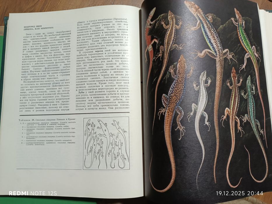 Книги Жизнь Животных 6томов