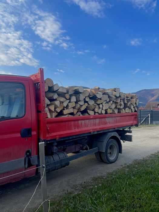 Vând lemne de foc (fag, stejer, carpen)‼️