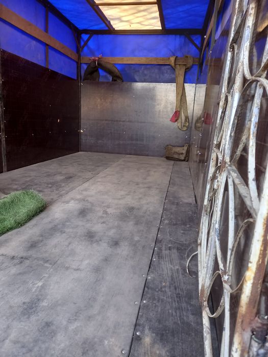 Перевозка скота газель. Мал тасу