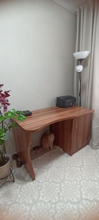 Письменный стол.