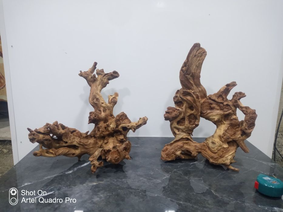 karega Mangra soni 2 ta