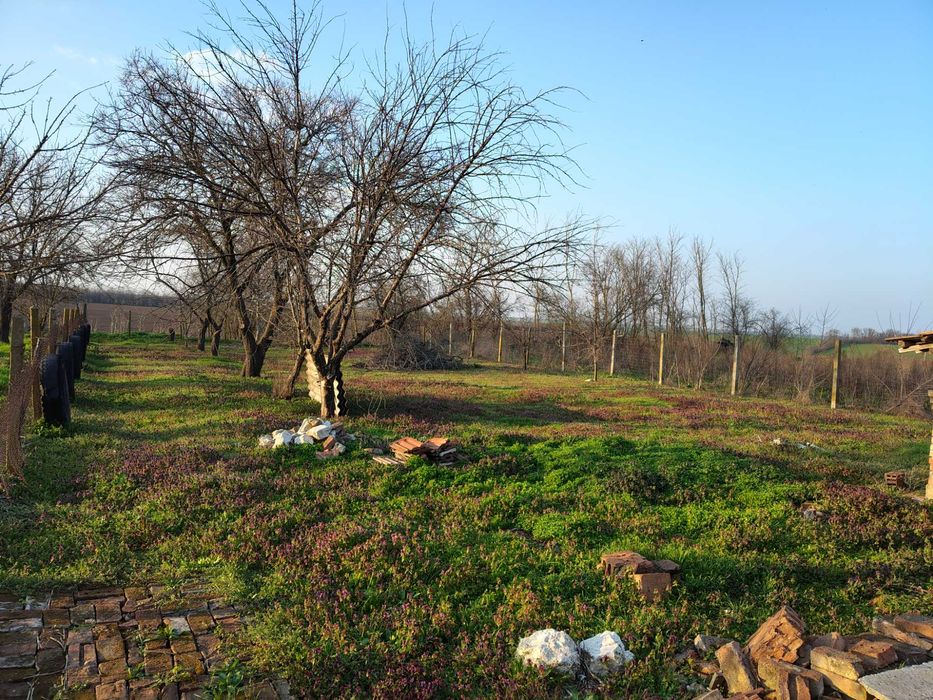 Продава се Къща в с. Срацимир, Област Силистра - 60 кв.м за 196 €/кв.м - Снимка #5