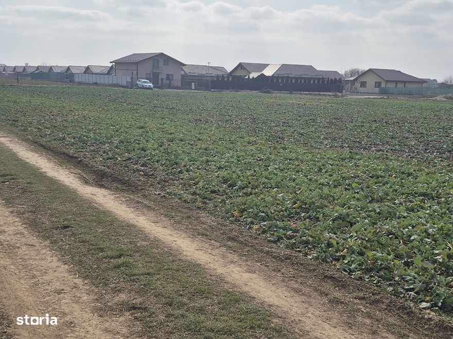 Teren intravilan Balotesti,langa ansamblul Terra si padure, 17000 euro