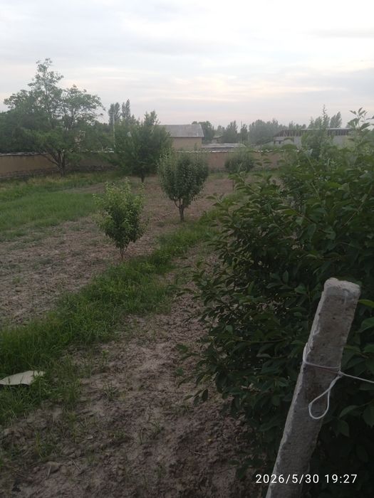 Dala hovli uchun dacha uchun 10 sotix yer sotiladi havosi tozza