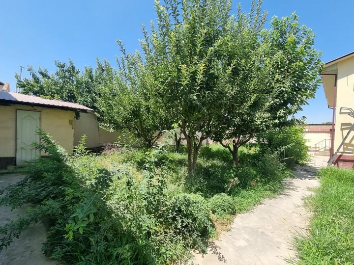 Hovli sotiladi qiziqanla tel qiling