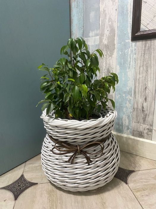 Кашпо из ротанга