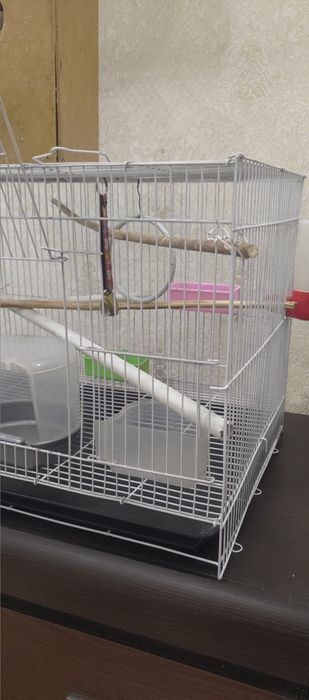 Клетка для попугая или кроликов